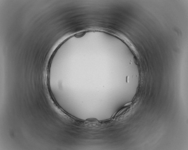 X0000113090955200909251007