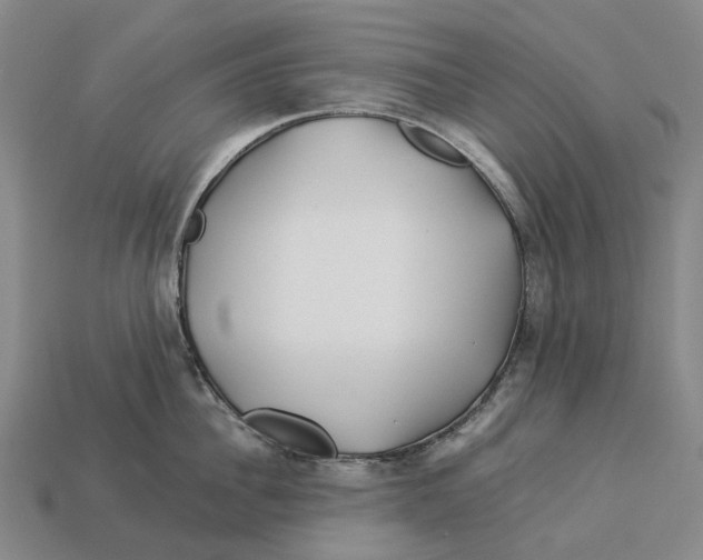 X0000113090956200909251007