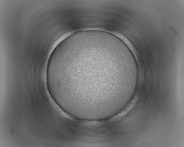 X0000113090957200909251007