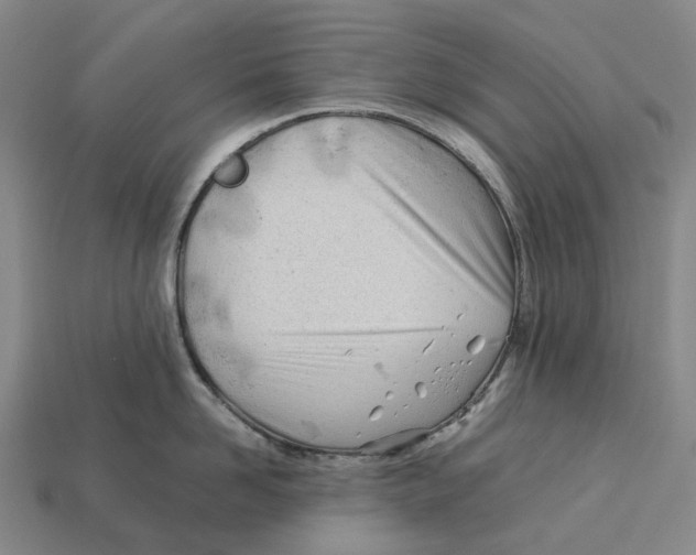 X0000113090958200909251007