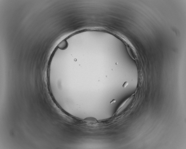 X0000113090959200909251007