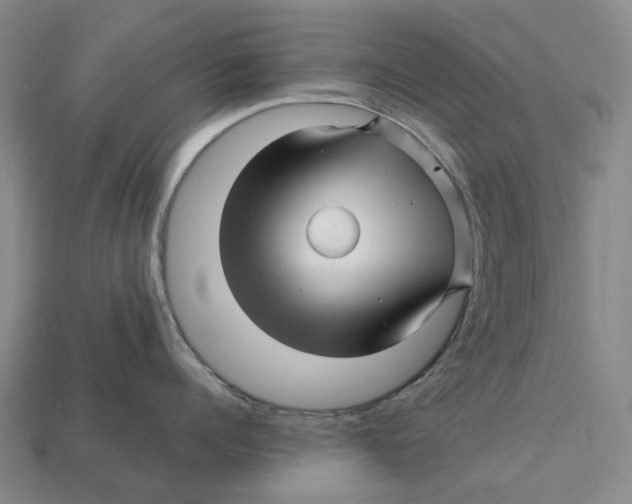 X0000113090960200909251007