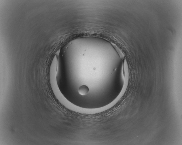 X0000113090961200909251007