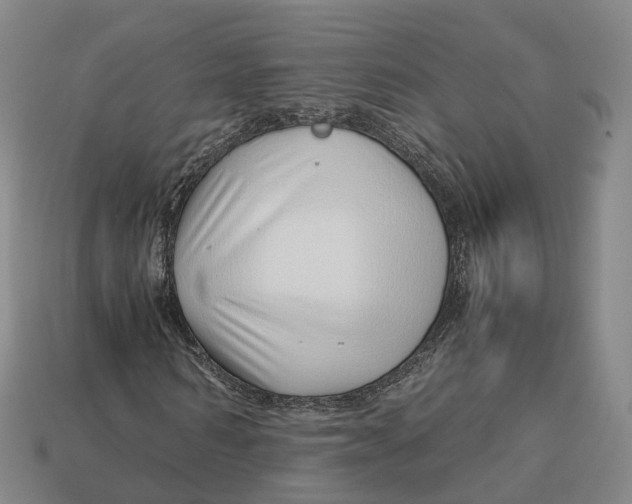 X0000113090962200909251007