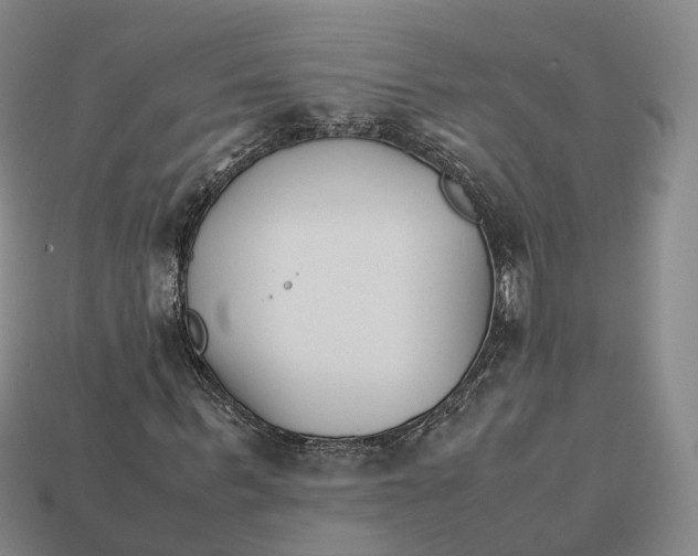 X0000113090963200909251007