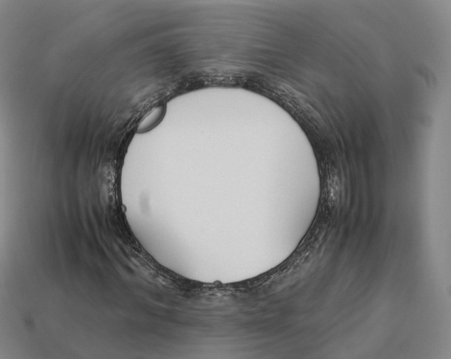 X0000113090964200909251007