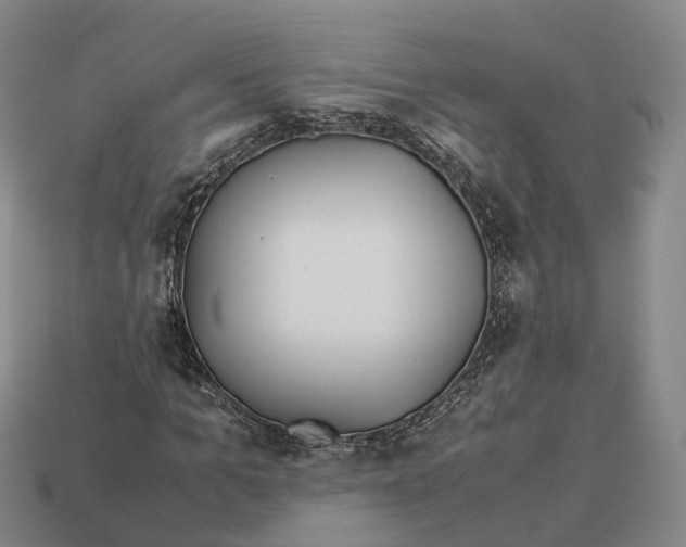 X0000113090965200909251007