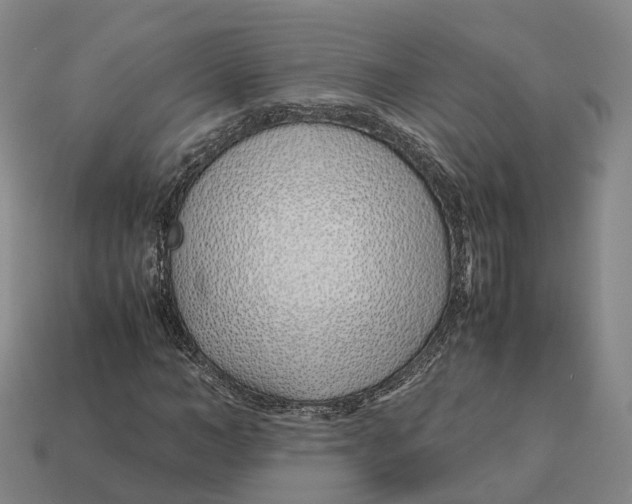 X0000113090966200909251007