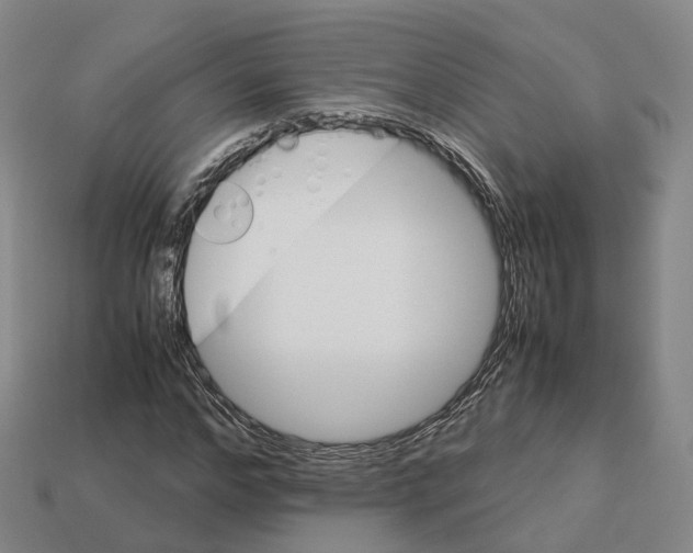 X0000113090968200909251007