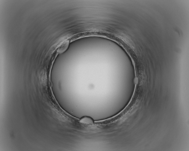 X0000113090969200909251007