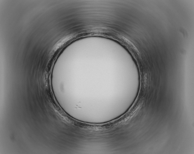 X0000113090970200909251007