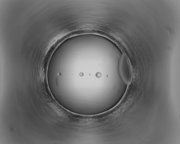 X0000113090973200909251007