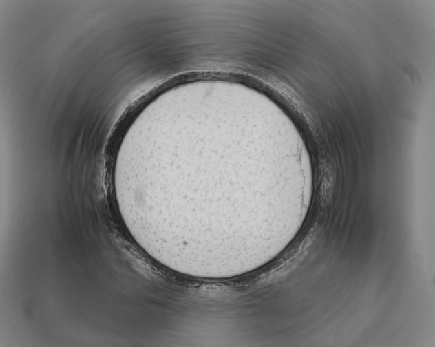 X0000113090974200909251007