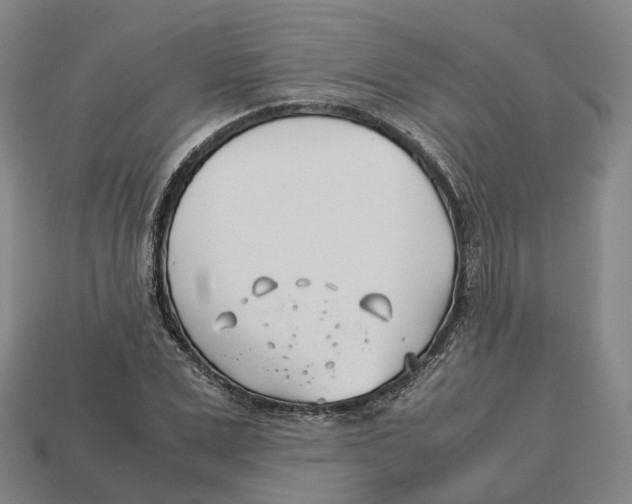 X0000113090975200909251006