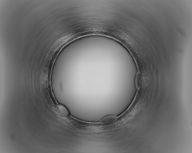 X0000113090977200909251006