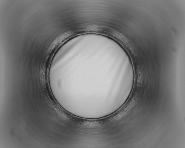 X0000113090978200909251006
