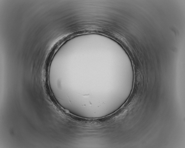 X0000113090979200909251006