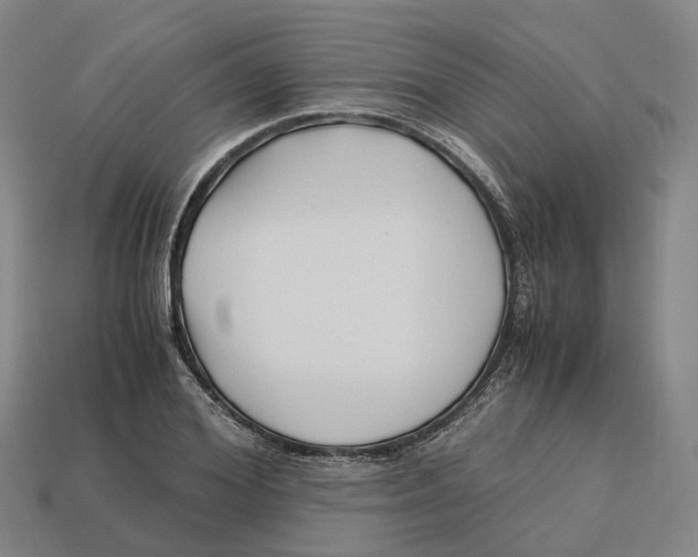 X0000113090980200909251006
