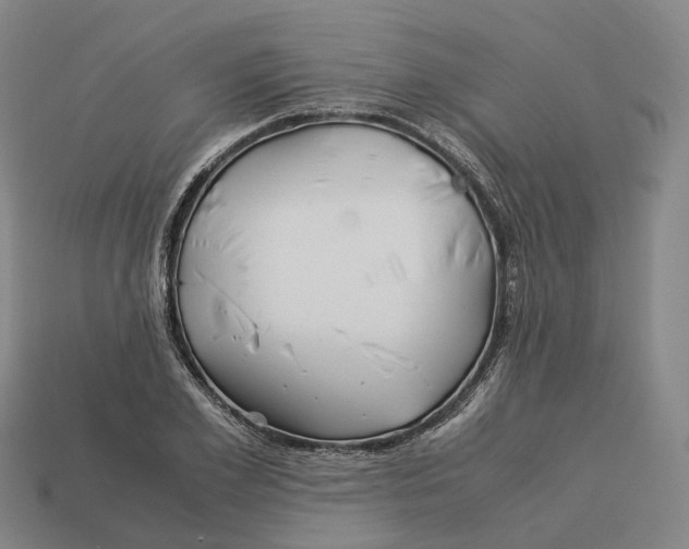 X0000113090981200909251006