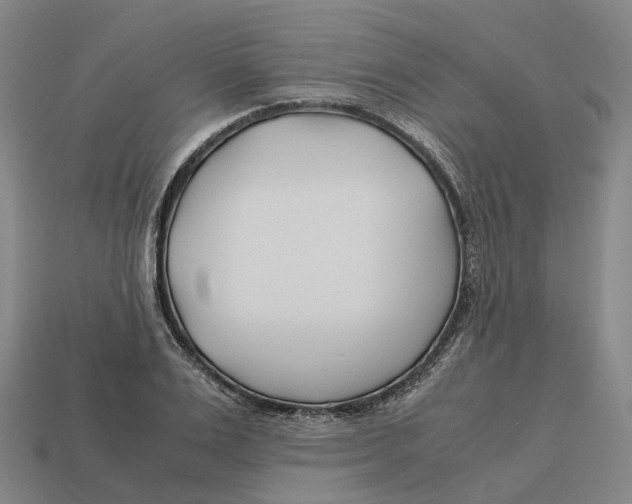 X0000113090983200909251006