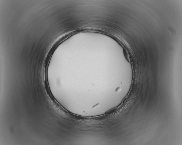 X0000113090984200909251006