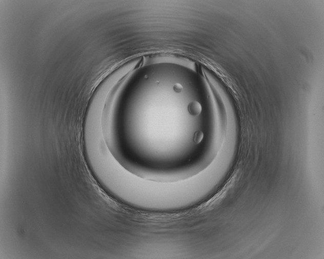 X0000113090985200909251006