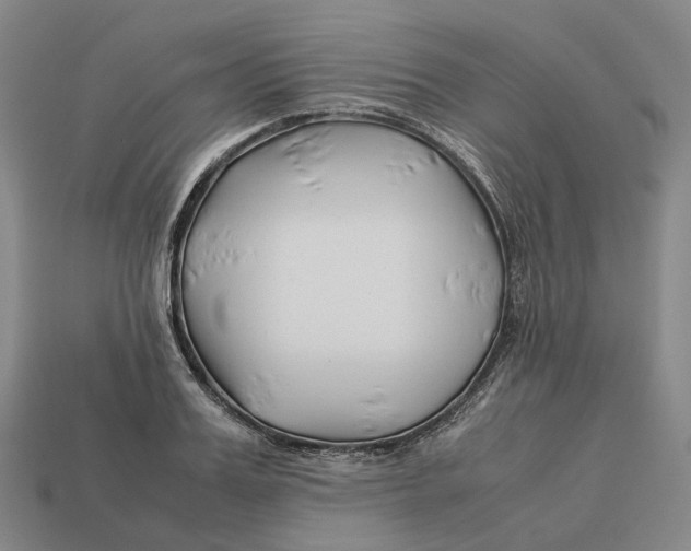 X0000113090987200909251006