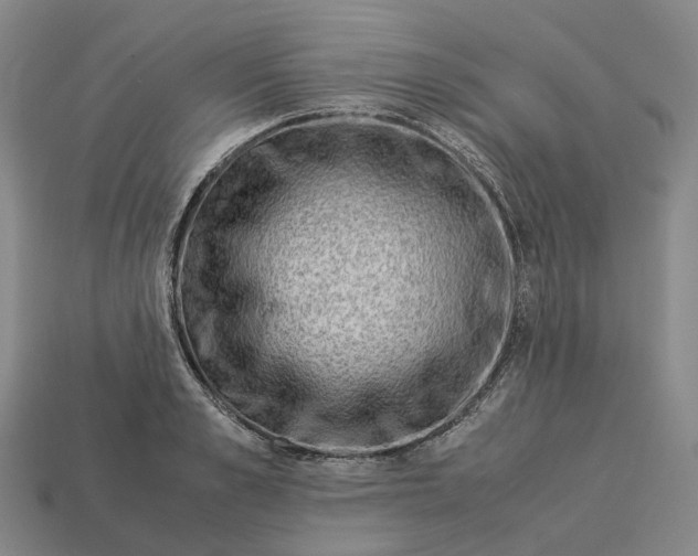 X0000113090989200909251006