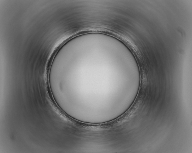 X0000113090990200909251006