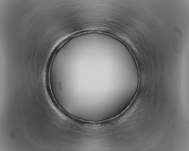 X0000113090991200909251006