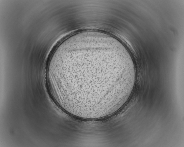 X0000113090992200909251006