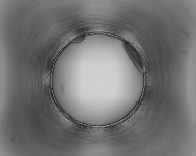 X0000113090993200909251006