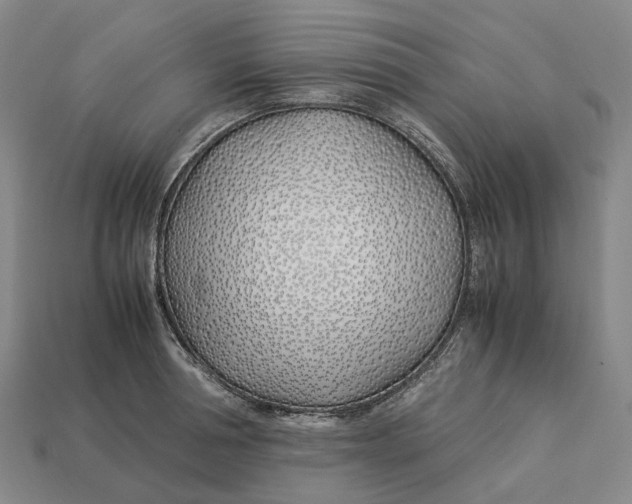 X0000113090994200909251006