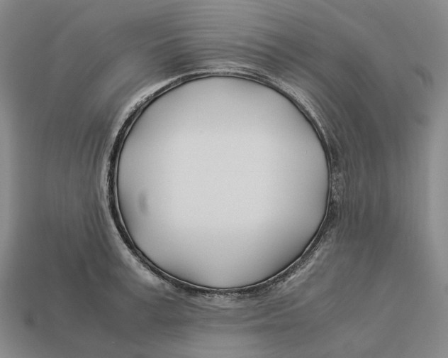 X0000113090995200909251006