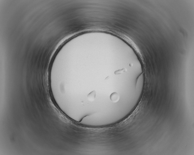X0000113090996200909251006