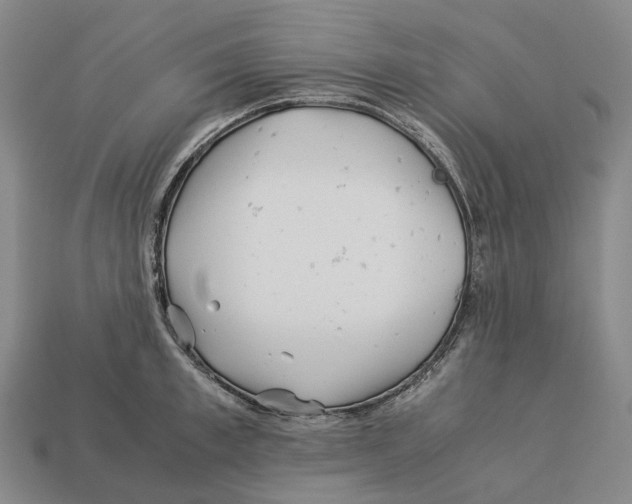 X0000113090997200909251006