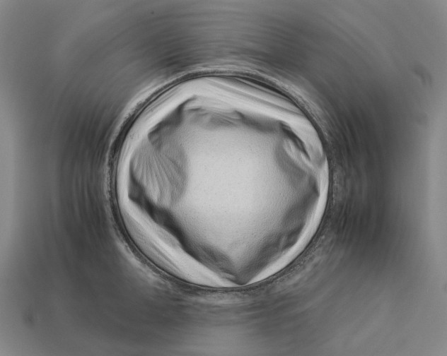 X0000113090998200909251006