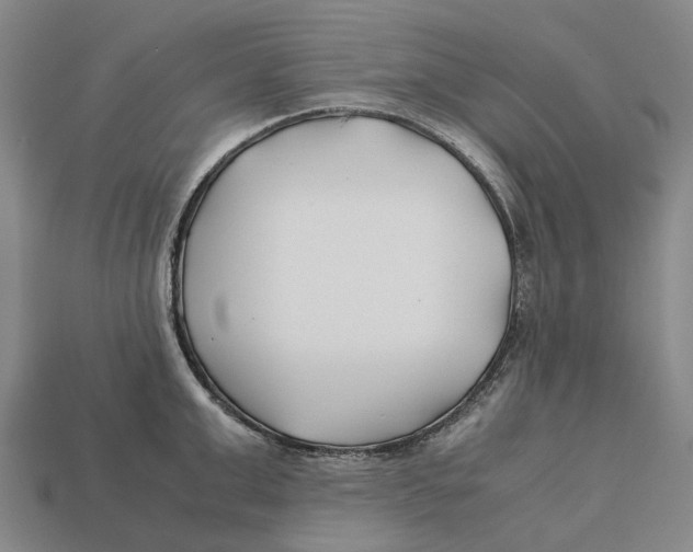 X0000113090999200909251006