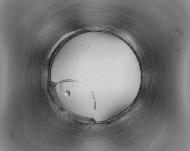X0000113091000200909251006