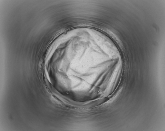 X0000113091001200909251006