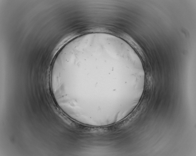 X0000113091002200909251006