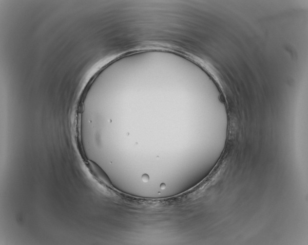 X0000113091003200909251006