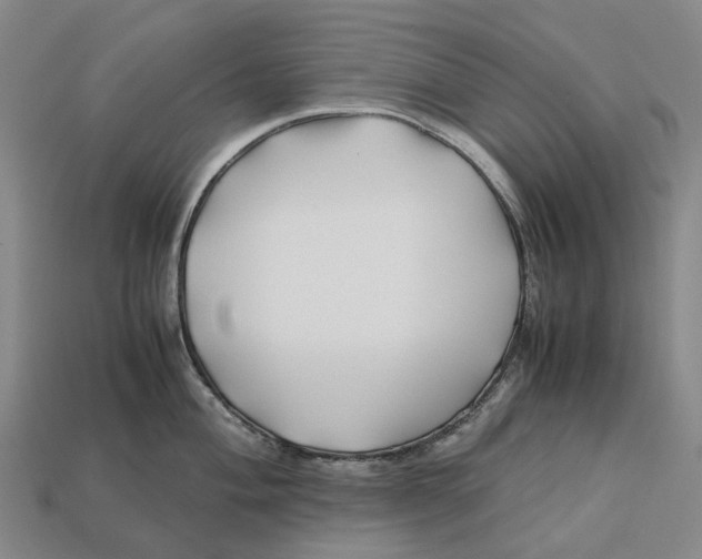 X0000113091004200909251006