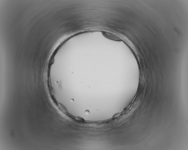 X0000113091005200909251006