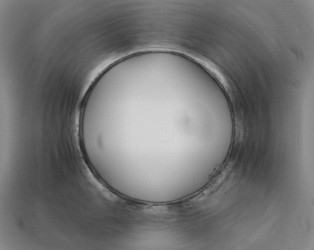 X0000113091006200909251006
