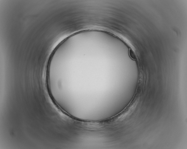 X0000113091007200909251006