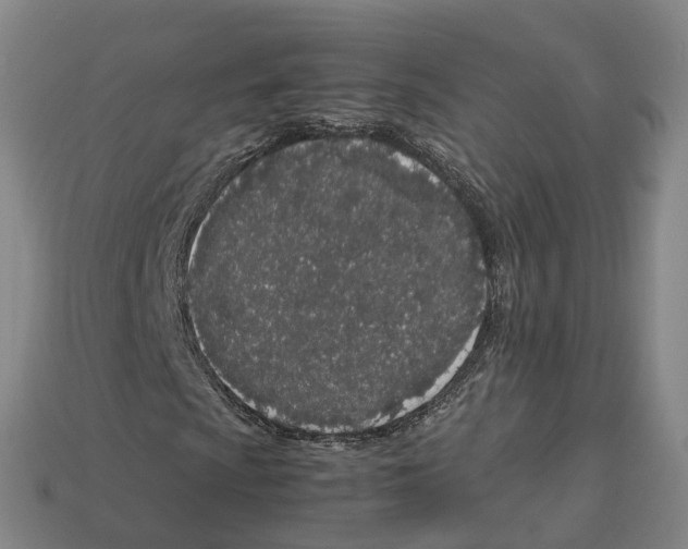 X0000113091009200909251005