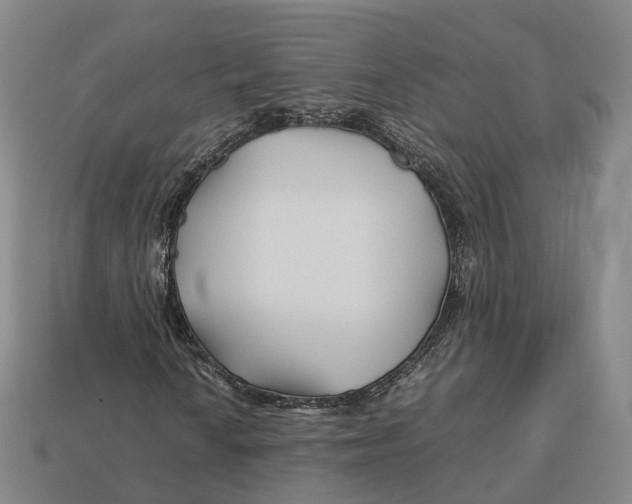 X0000113091010200909251005