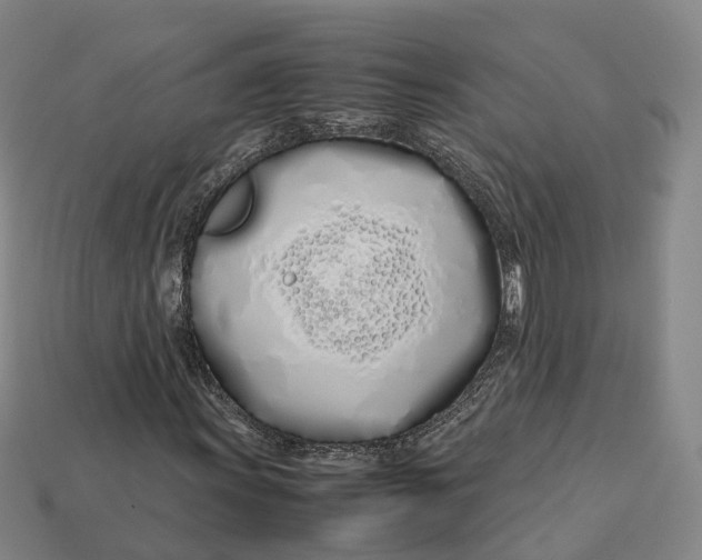 X0000113091011200909251005