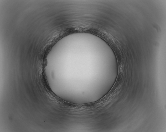 X0000113091012200909251005